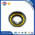 NSK 33*79*20mm Cylindrical Roller Bearing for Transmission Parts (307NU32)